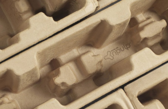 dell-5.jpg